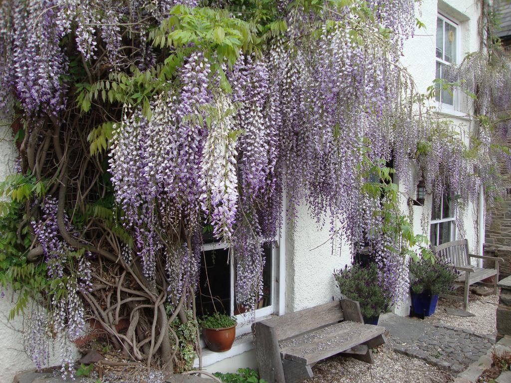 Half Moon House Διαμέρισμα Hay-On-Wye Εξωτερικό φωτογραφία